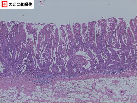 画像ID:8902