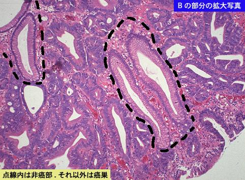 画像ID:8921