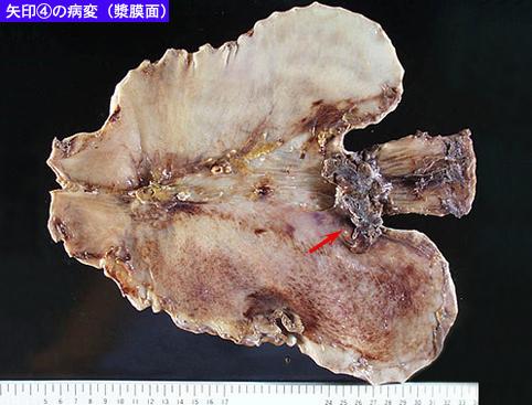 画像ID:9035