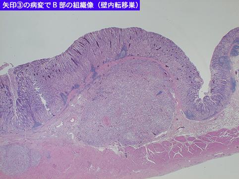 画像ID:9039