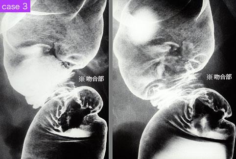 画像ID:9183