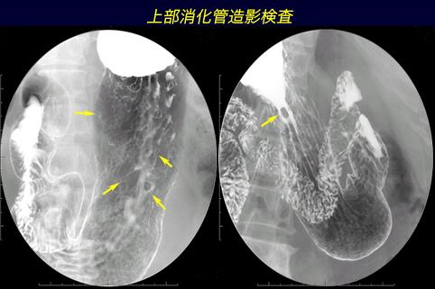 画像ID:9413