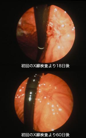 画像ID:9459