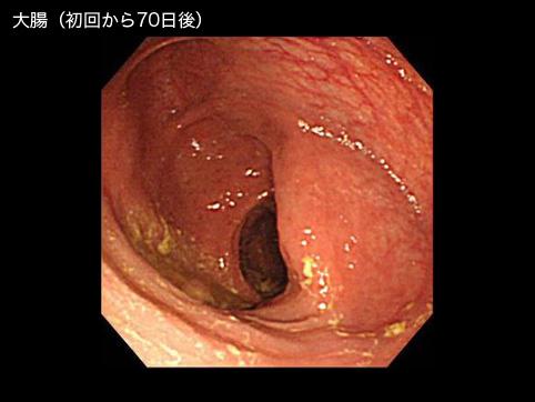 画像ID:9540