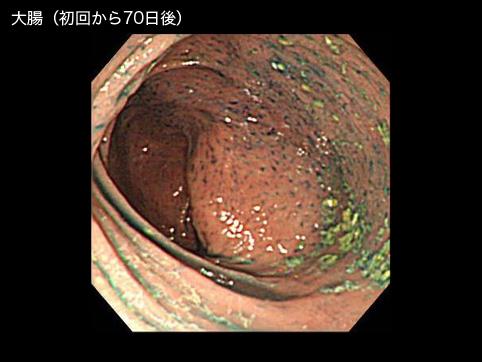 画像ID:9541