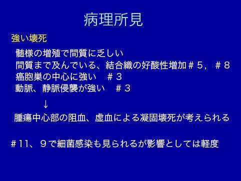 画像ID:9649