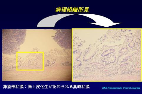 画像ID:9663