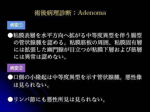 画像ID:9733
