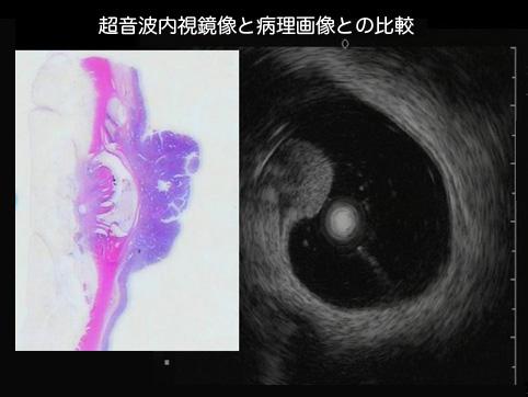 画像ID:9853