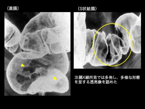 画像ID:9875