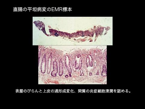 画像ID:9885