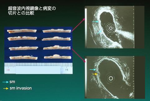 画像ID:9909