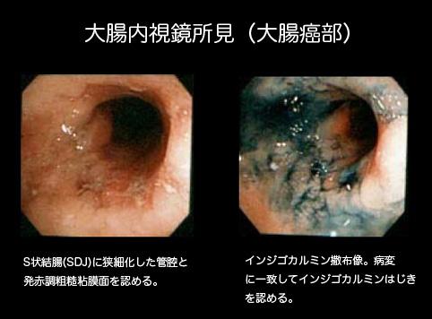 画像ID:9940
