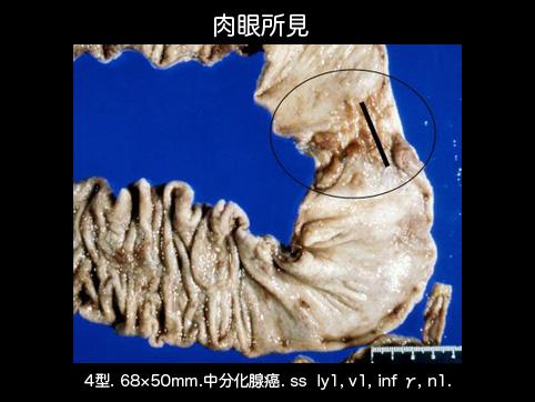 画像ID:9943
