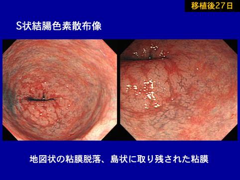 画像ID:10067