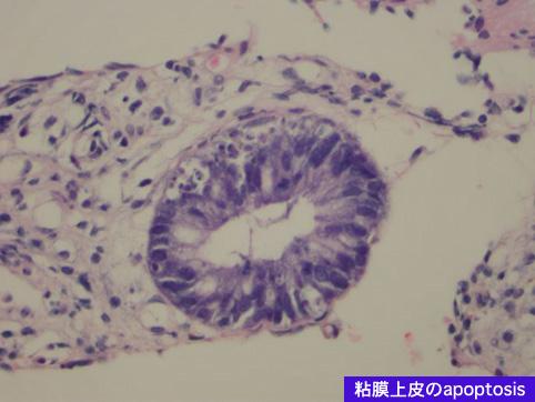 画像ID:10071