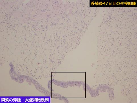 画像ID:10079