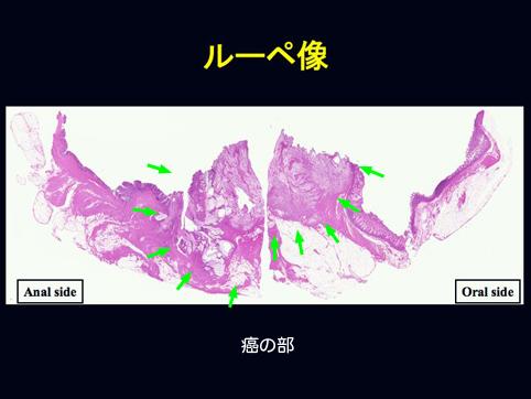 画像ID:10179