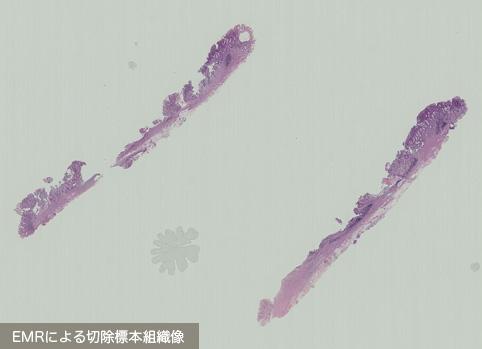 画像ID:10216