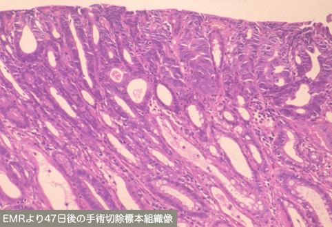 画像ID:10221