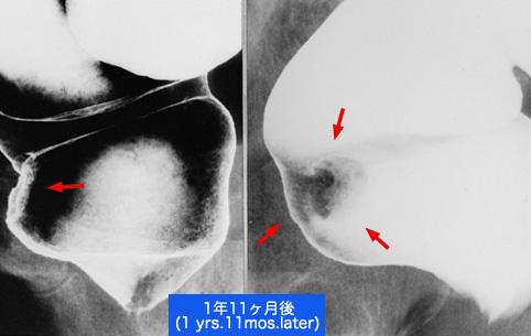 画像ID:10403