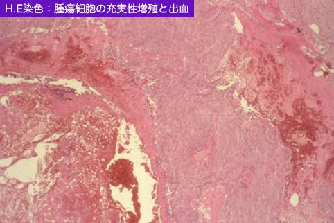 画像ID:10467