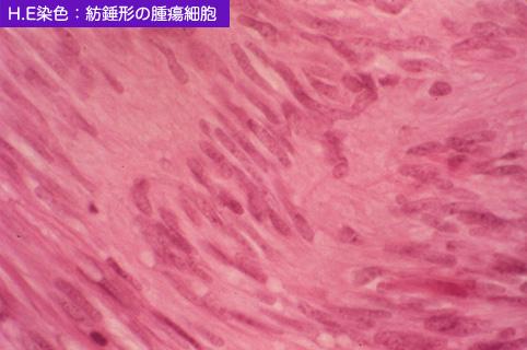 画像ID:10468