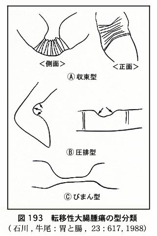 画像ID:10502