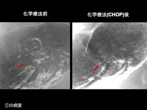 画像ID:10522