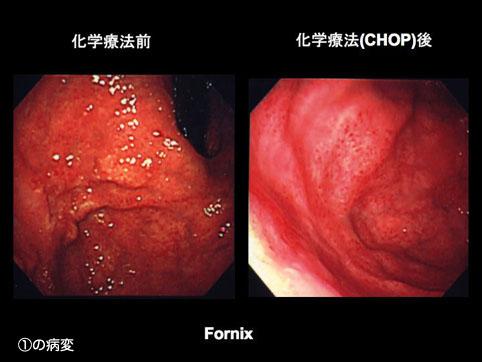 画像ID:10531