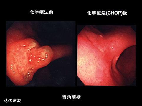 画像ID:10533