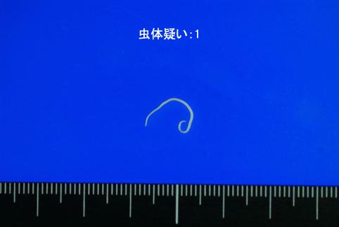 画像ID:10620