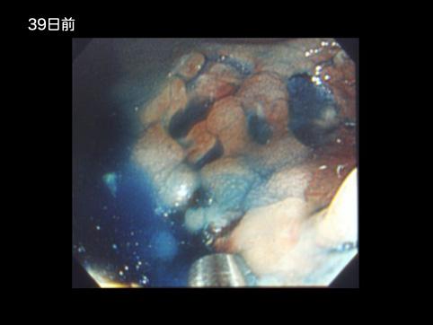 画像ID:10646