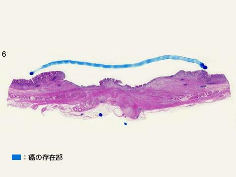 画像ID:10690