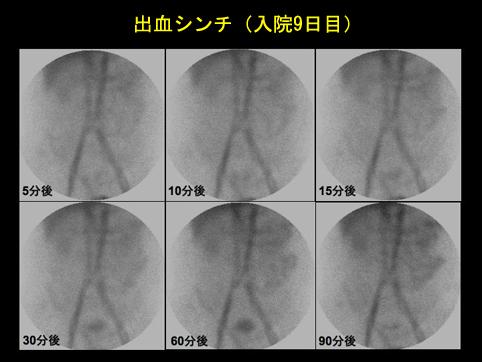 画像ID:10839