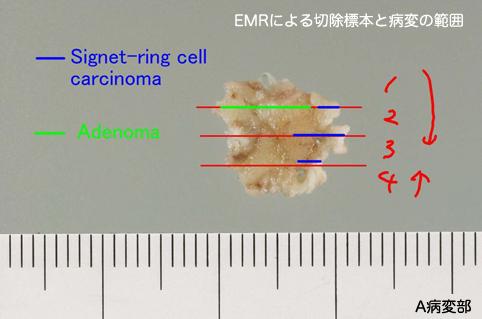 画像ID:10985