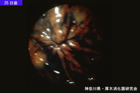 画像ID:11030