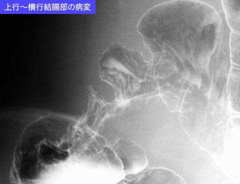 画像ID:11034