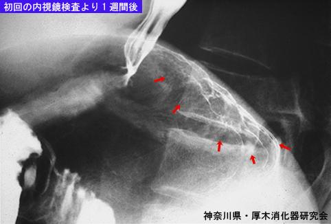 画像ID:5804