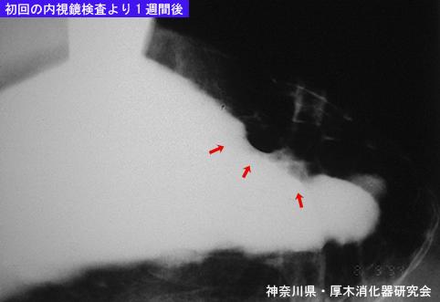 画像ID:5805