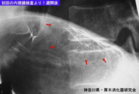 画像ID:5806