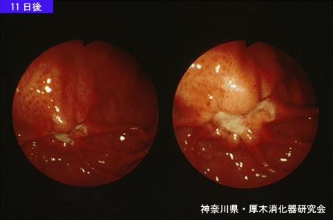 画像ID:5810