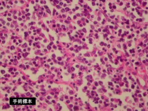 画像ID:11089