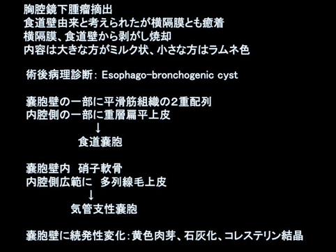 画像ID:11123