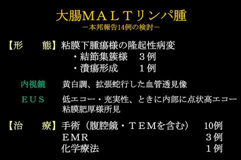 画像ID:11300
