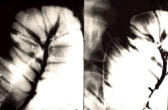 画像ID:127