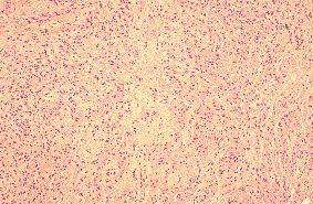 画像ID:230