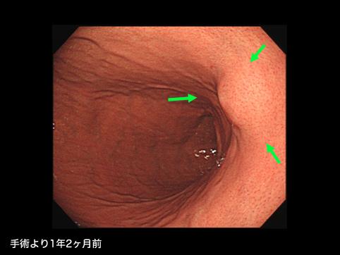 画像ID:11329