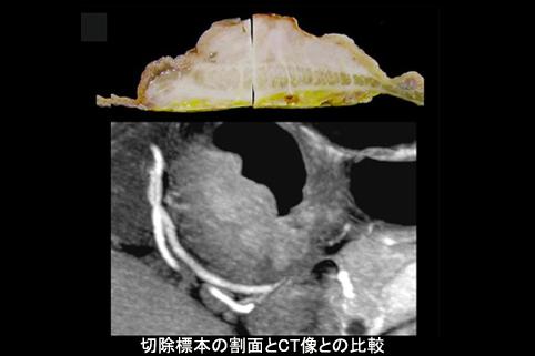 画像ID:11390