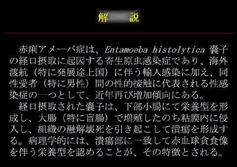 画像ID:11706